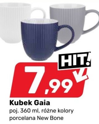 Kubek promocja w Bricomarche