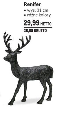 Renifer promocja w Makro