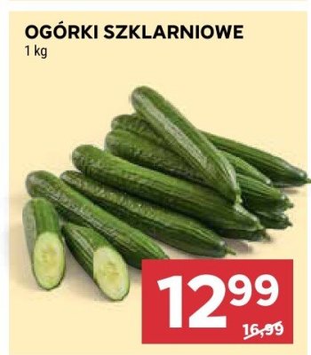 Ogórki szklarniowe promocja w Stokrotka