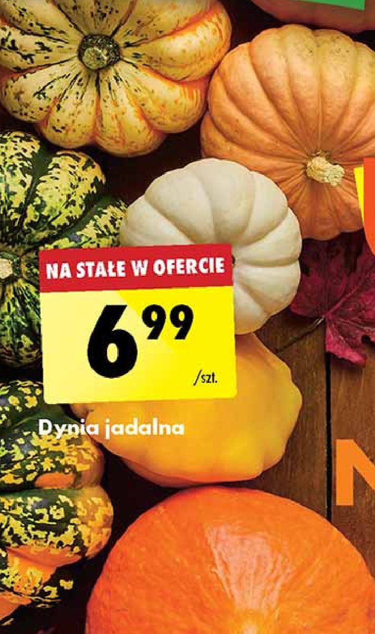 Dynia promocja
