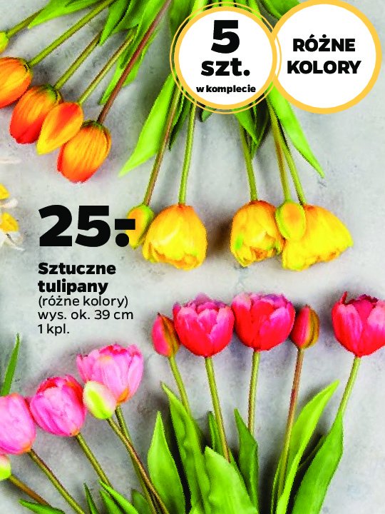 Tulipany promocja