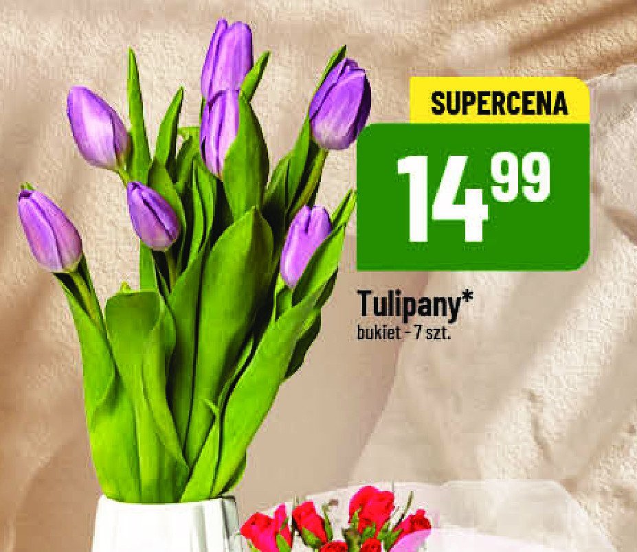 Tulipany promocja w POLOmarket