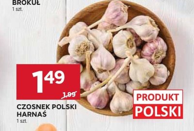 Czosnek promocja w Stokrotka