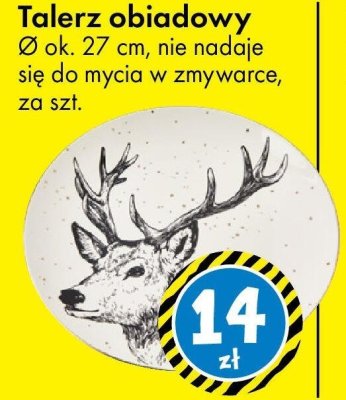 Talerz obiadowy Ø ok. 27 cm promocja w Tedi