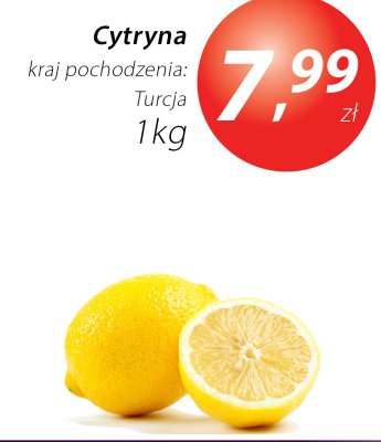 Cytryna promocja w Market Point