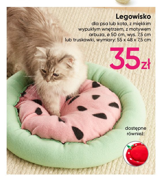 Legowisko dla kota arbuz promocja