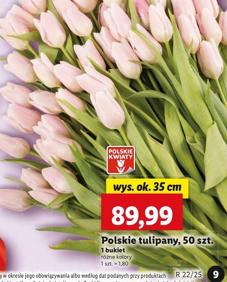 Tulipany 35 cm promocja