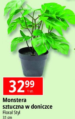 Monstera Floral styl promocja