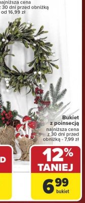 Bukiet z poinsecją Carrefour promocja w Carrefour