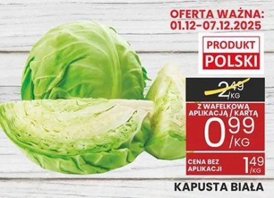 Kapusta biała promocja w Wafelek