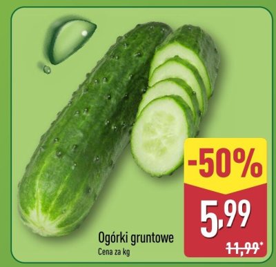 Ogórki gruntowe promocja w Aldi