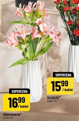 Alstromeria promocja w POLOmarket
