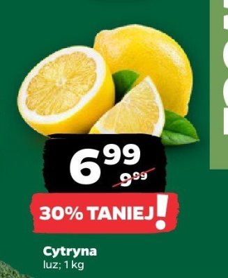 Cytryna promocja w Netto