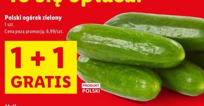 Ogórek zielony promocja w Lidl