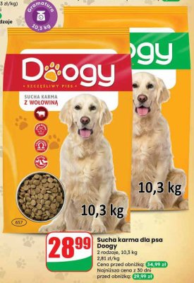 Sucha karma dla psa Doogy promocja w Dino