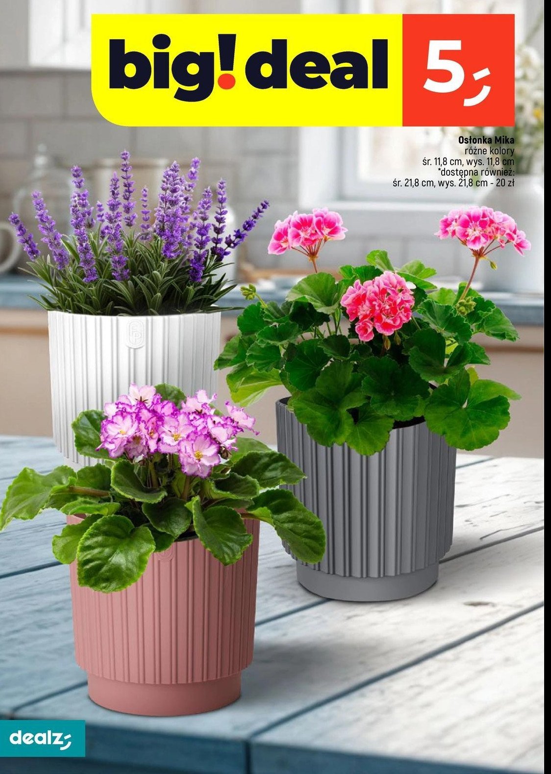 Osłonka mika 11.8 cm FORMPLASTIK promocja w Dealz