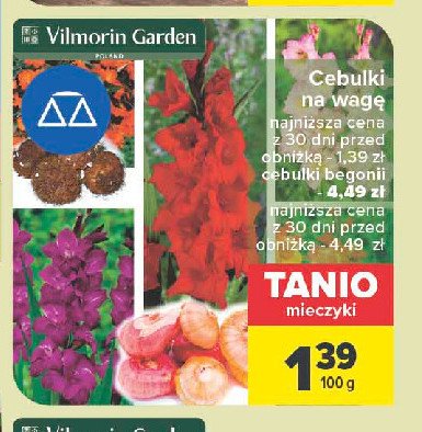 Cebulki kwiatowe mieczyki Vilmorin garden promocja