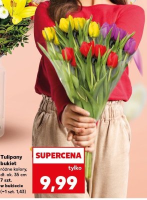 Tulipany bukiet 7 szt. promocja w Kaufland