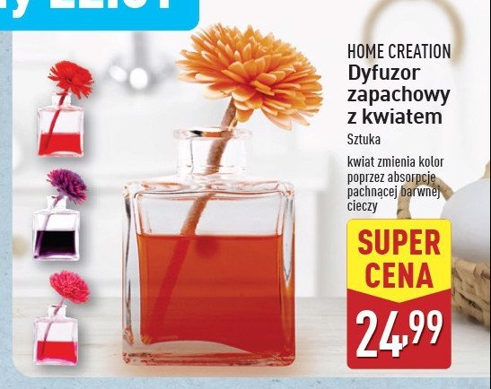 Dyfuzor zapachowy z kwiatem Home creation promocja w Aldi