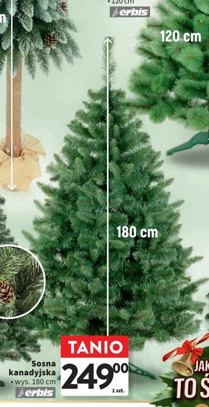 Sosna kanadyjska 180 cm ERBIS promocja