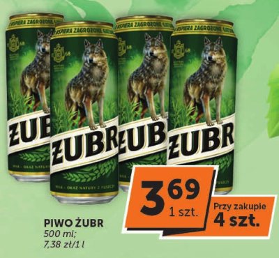 Piwo Żubr promocja w ABC