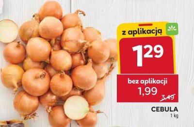 Cebula dymka ze szczypiorkiem pęczek promocja w Stokrotka