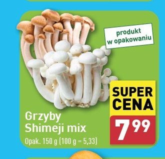 Grzyby shimeji brązowe promocja w Aldi