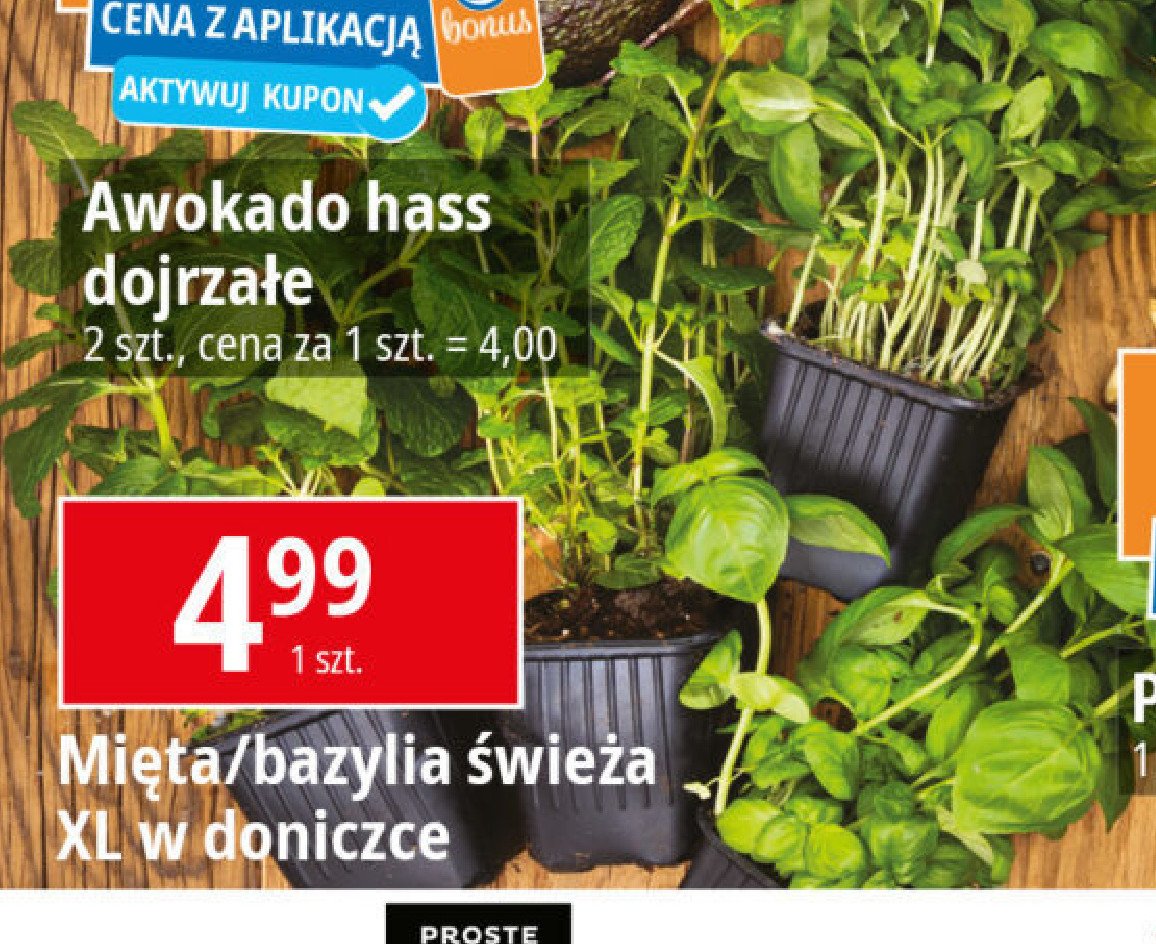 Mięta xl promocja w Leclerc