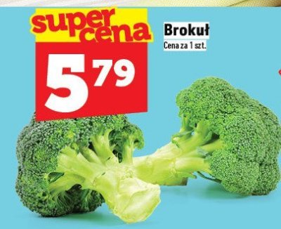 Brokuł promocja w TOPAZ