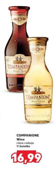 Wino COMPANIONE PINOT NOIR promocja w Kaufland