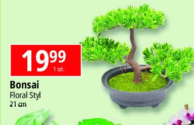 Bonsai 21 cm Floral styl promocja