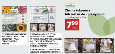 Zestaw do uprawy zi贸艂 Romberg promocja