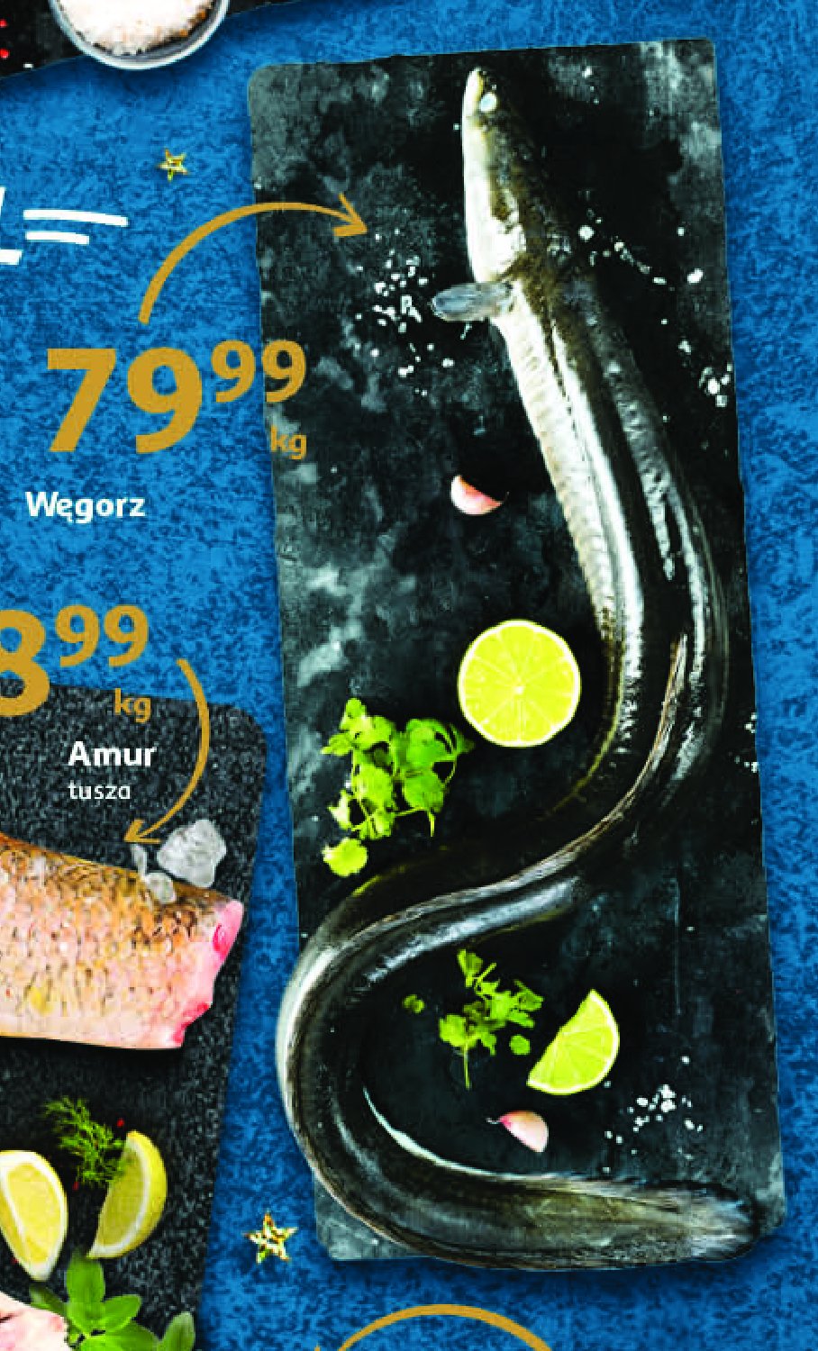 Węgorz promocja w Makro