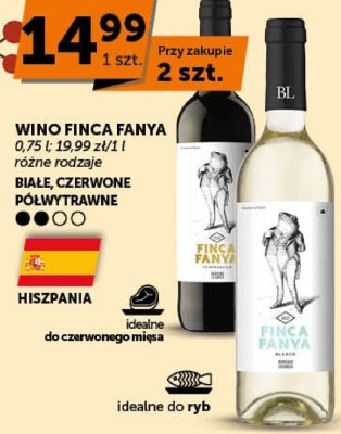 Wino Finca Fanya różne rodzaje białe czerwone półwytrawne promocja w Groszek