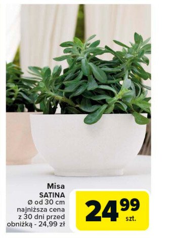 Misa satina 30 cm promocja w Carrefour Market