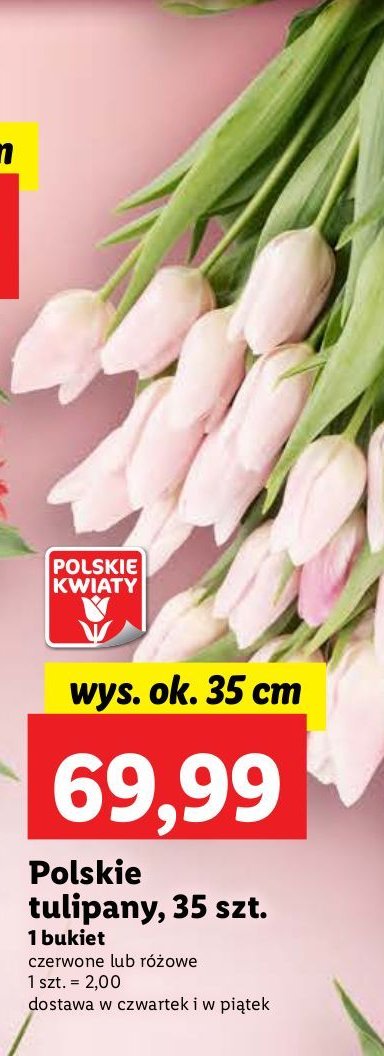 Tulipany 35 cm promocja