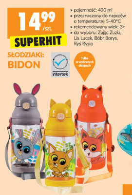 Bidon ry艣 rysio 420 ml Intertek promocja