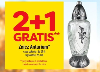 Znicz Anturium 2+1 gratis promocja w POLOmarket