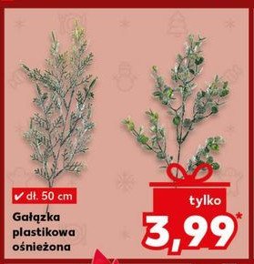 Gałązka ośnieżona 50 cm promocja