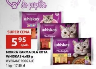 Karma dla kota klasyczne posiłki wołowina + kurczak Whiskas junior promocja