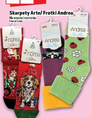 Skarpety Arte/Frotki Andrea promocja w TOPAZ