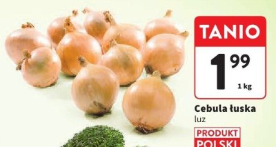 Cebula promocja w Intermarche