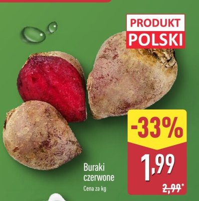 Buraki czerwone promocja w Aldi