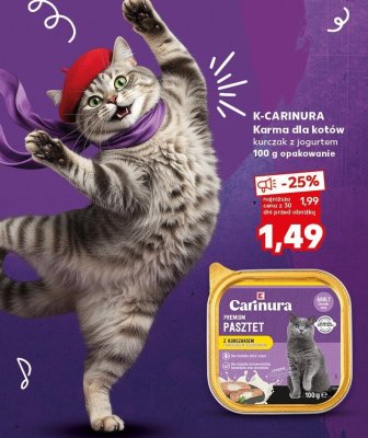 Karma dla kotów kurczak z jogurtem promocja w Kaufland