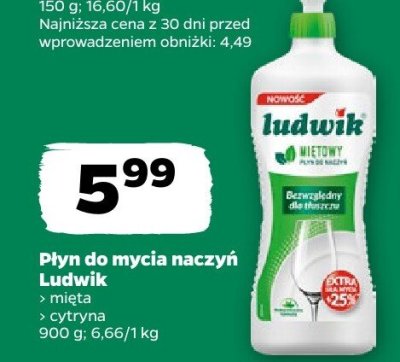 Płyn do mycia naczyń mięta Ludwik promocja w Netto