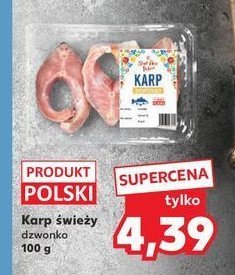 Karp świeży dzwonko K-classic stąd takie dobre! promocja