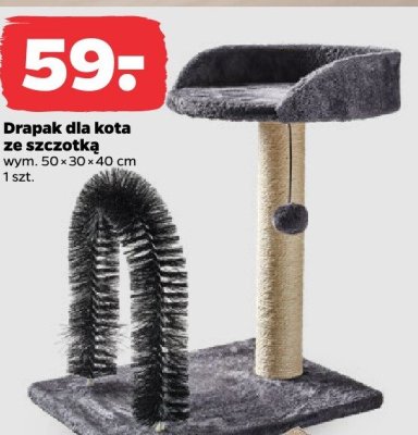 Drapak dla kota ze szczotką wym. 50×30×40 cm promocja w Netto