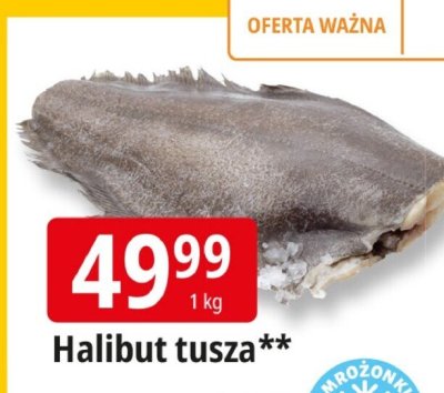 Halibut tusza promocja w Leclerc
