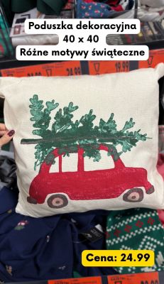 Poduszka dekoracyjna 40 x 40  promocja w Kaufland