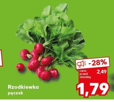 Rzodkiewka pączek promocja w Kaufland